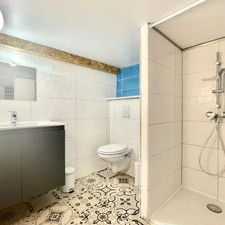 Petit Loft Centre Grenoble